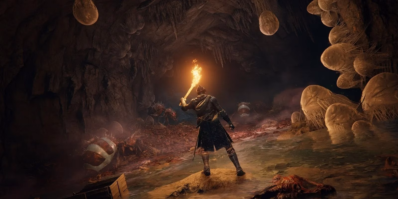 elden-rings-open-world-legacy-why-its-design-still-reigns-supreme-in-2026-image-1